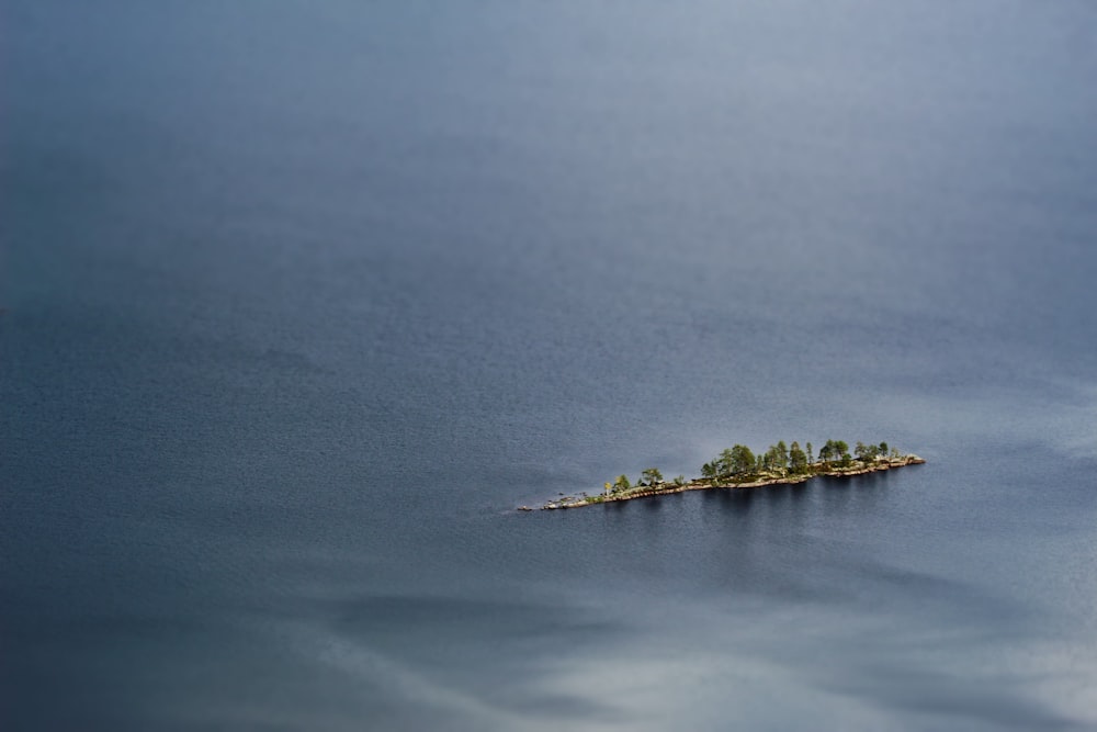 une petite île au milieu d’un plan d’eau
