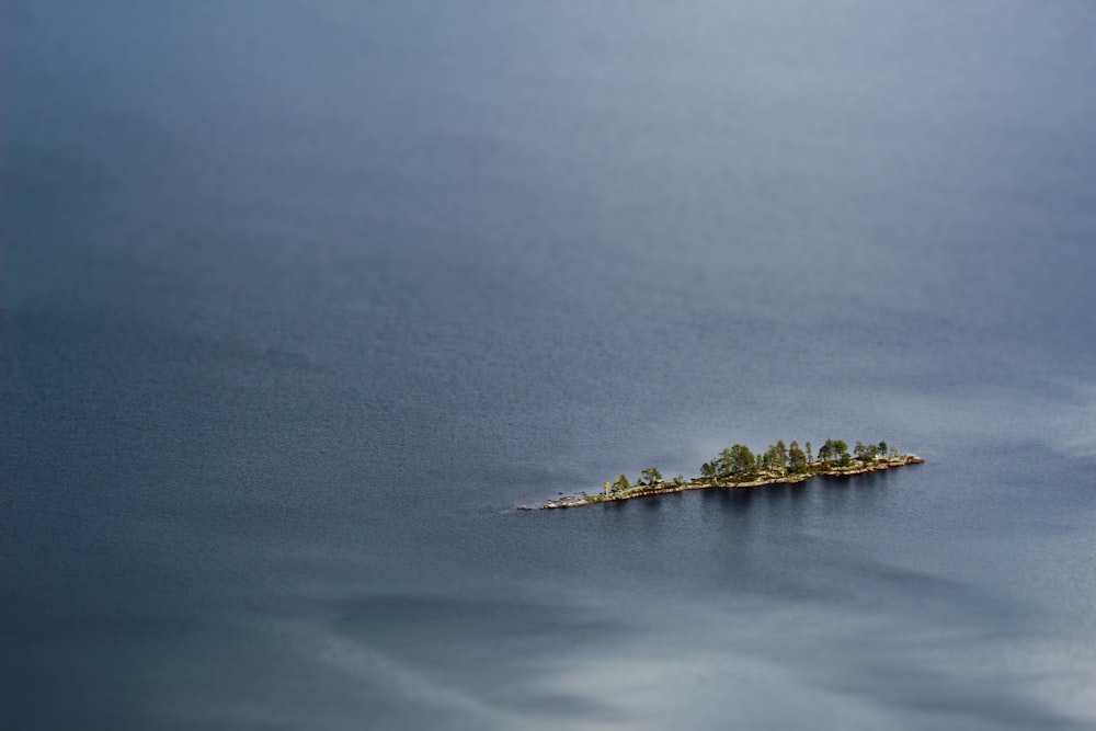 a small island in the middle of a body of water