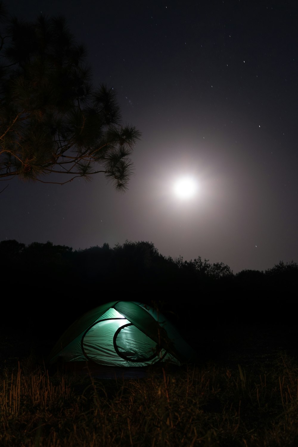 a green tent sitting under a tree at night