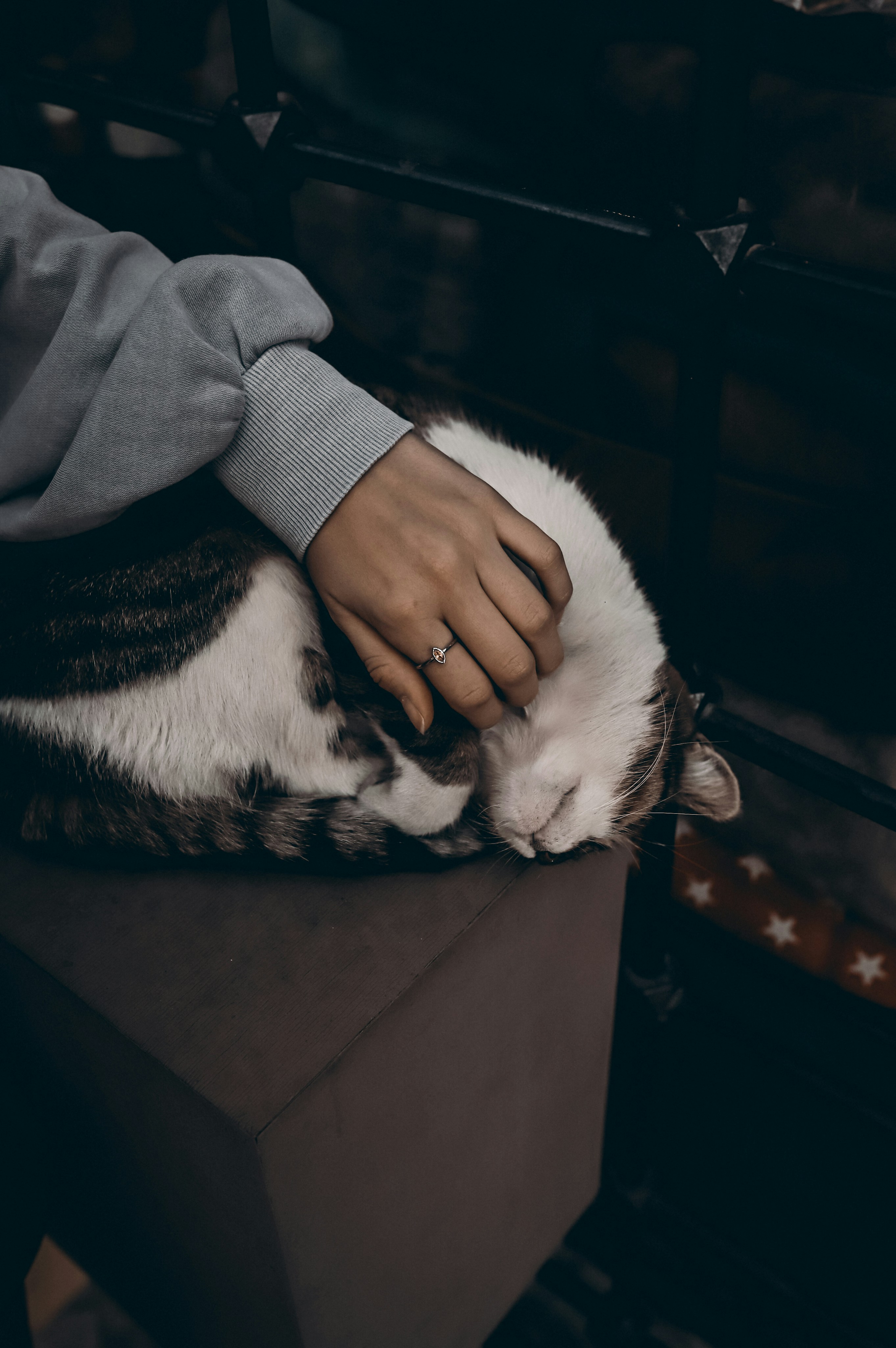 Shoulder Rubbing (image credits: unsplash)
