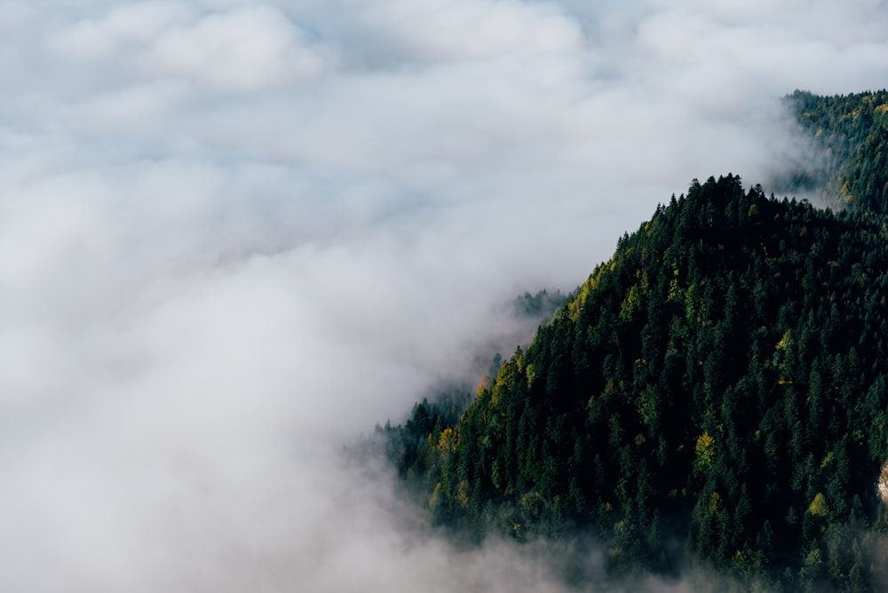 a mountain covered in clouds and trees