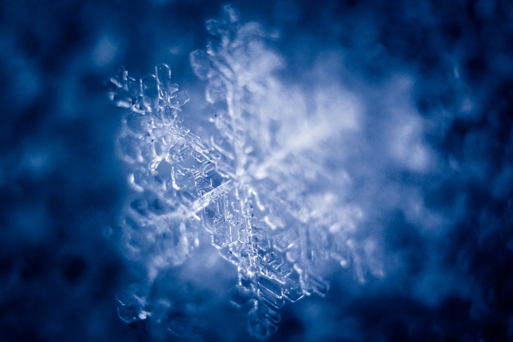 a close up of a snowflake on a blue background