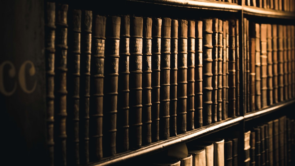 a row of books sitting on top of a shelf