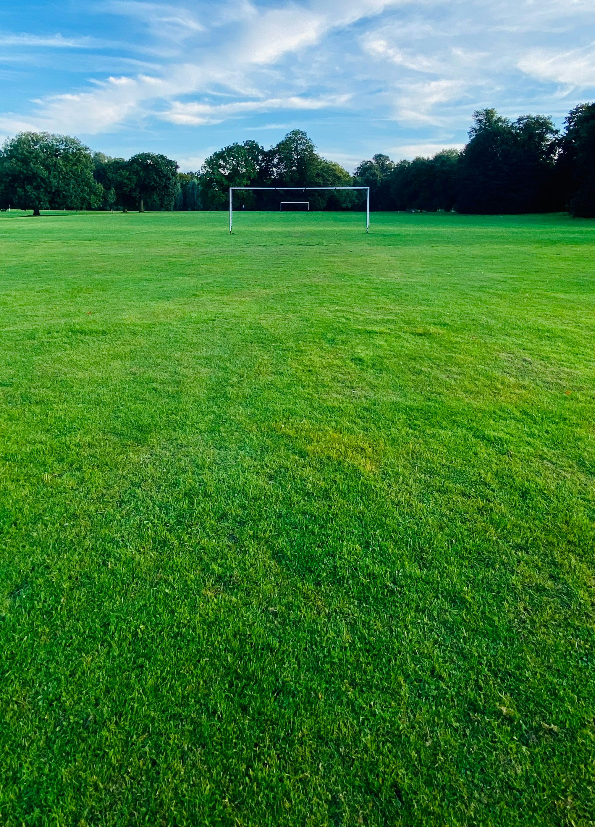 A soccer field with a soccer goal in the distance photo Free Grass