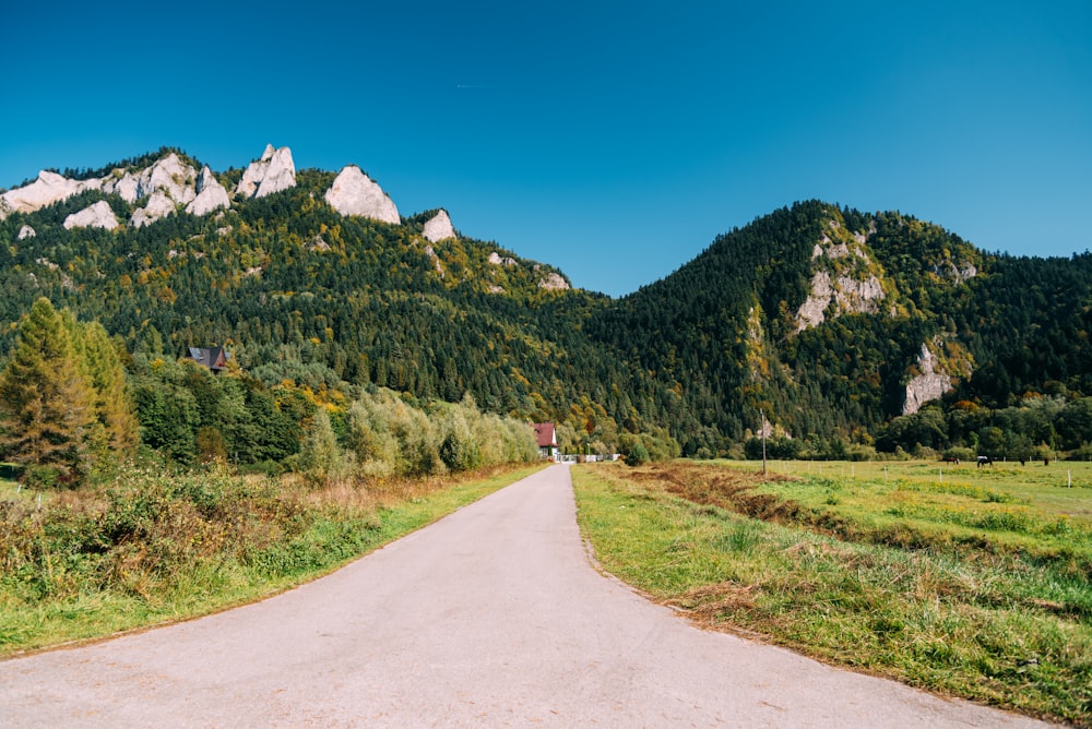 a dirt road in front of a mountain range