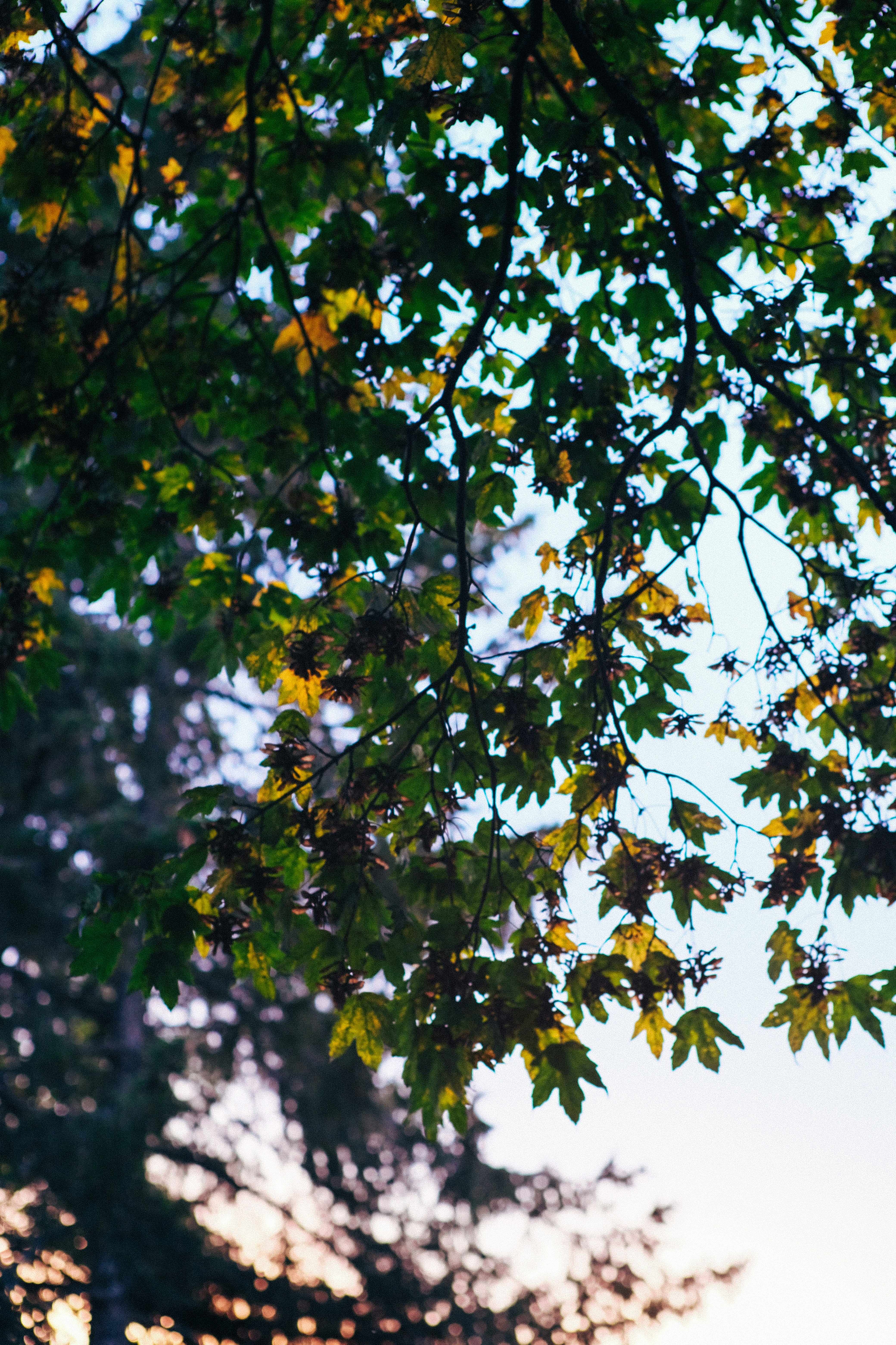 Photo by harryatkins