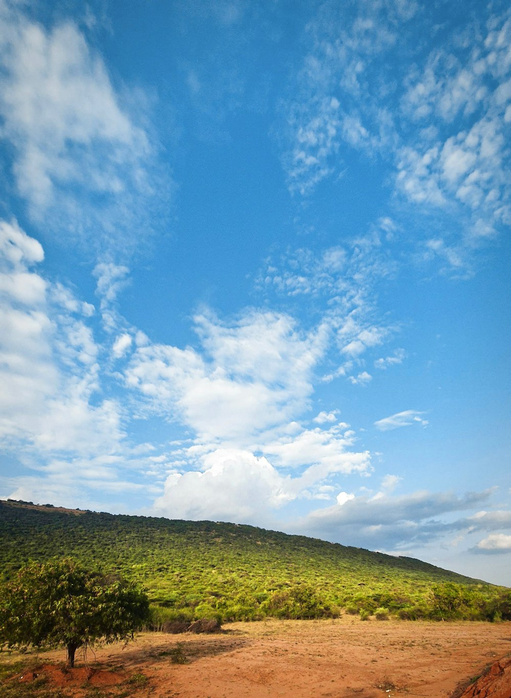 a dirt field with a hill in the background