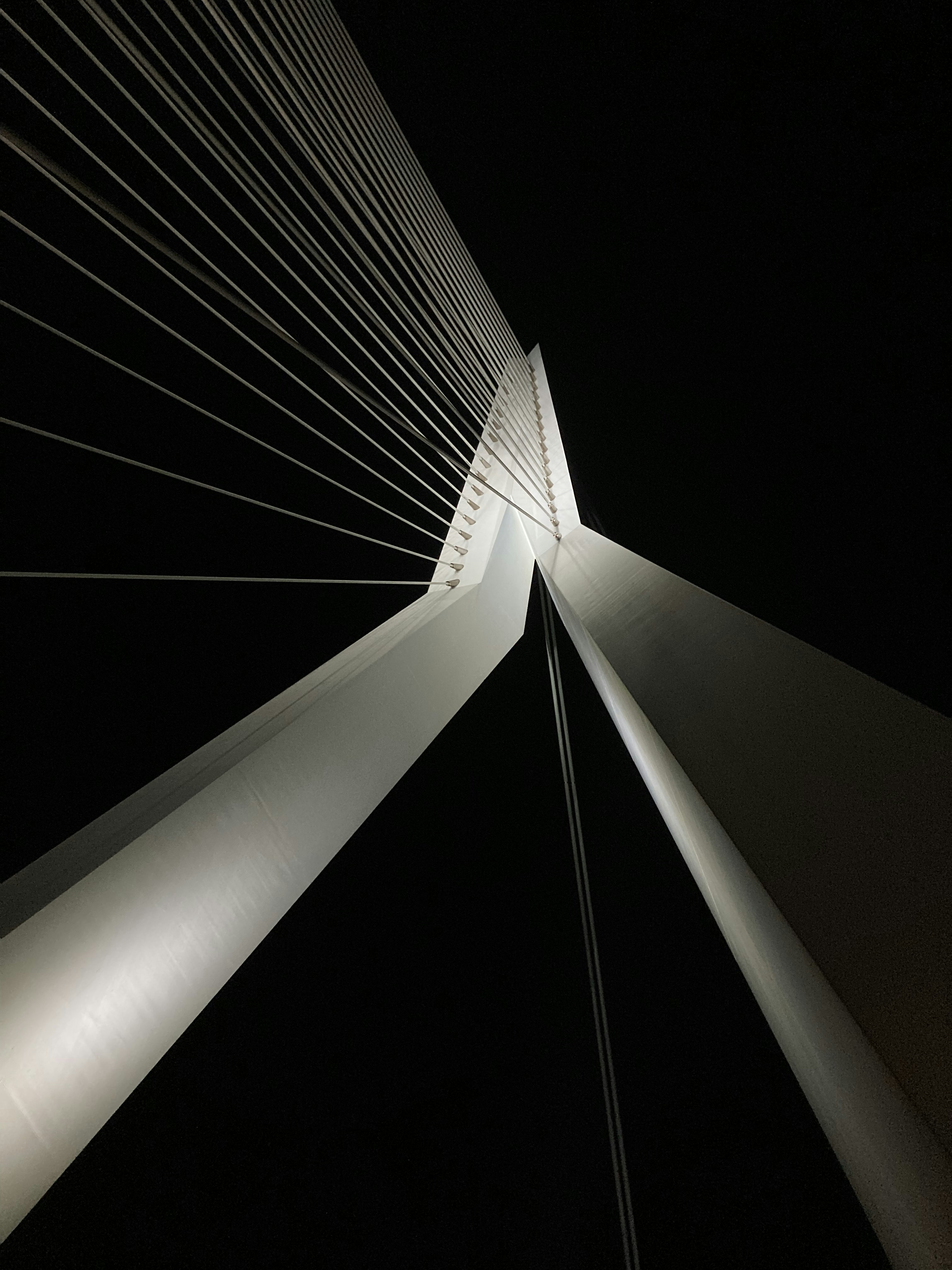 Photo by desirechristine