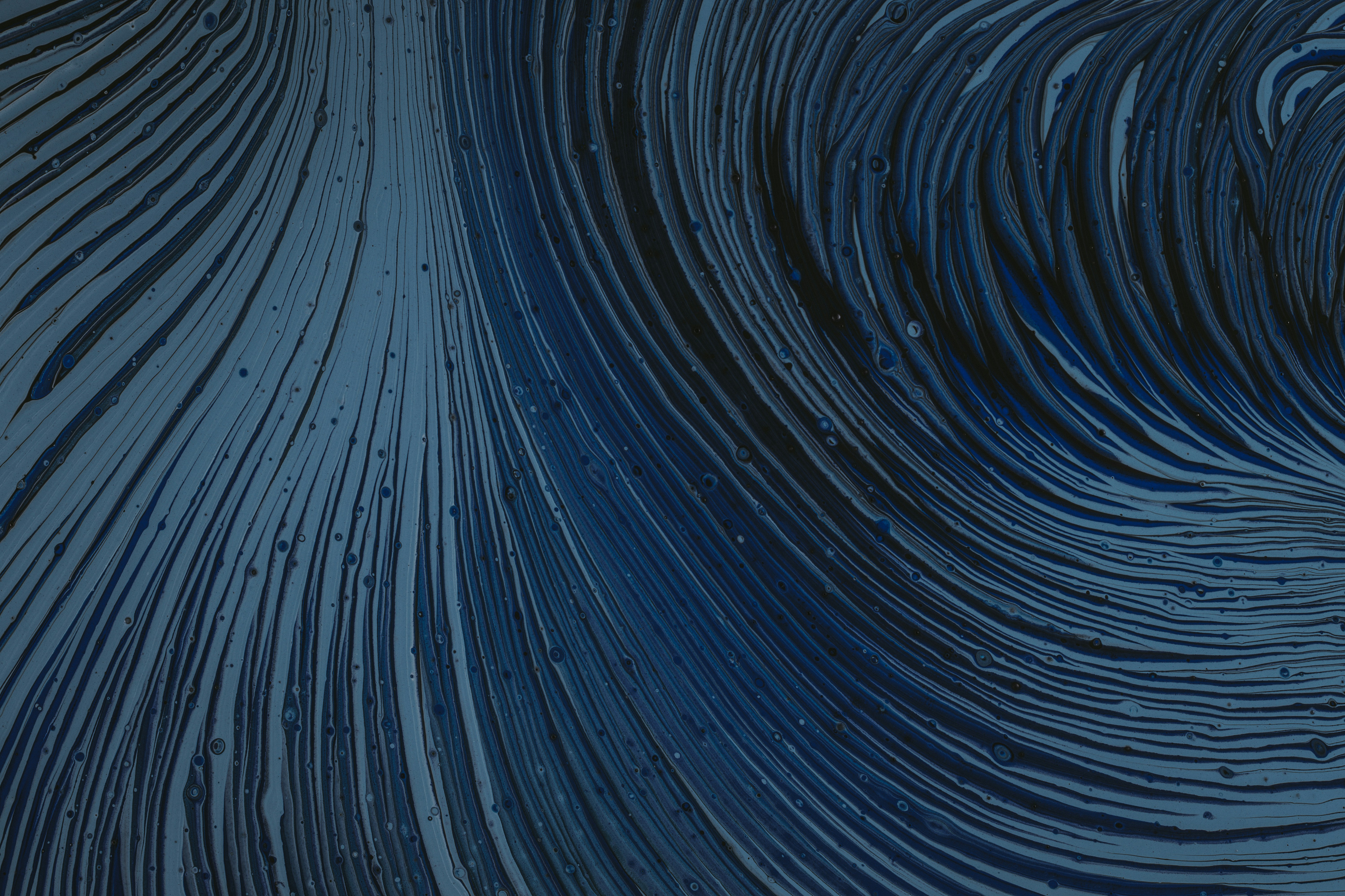 Photo by pawel_czerwinski