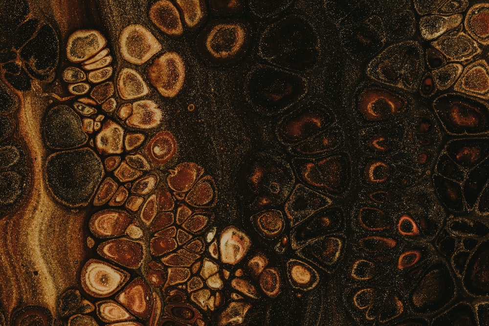 a close up view of a tree trunk