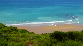 A vibrant beach scene in Goa with turquoise waves gently lapping against white sands.