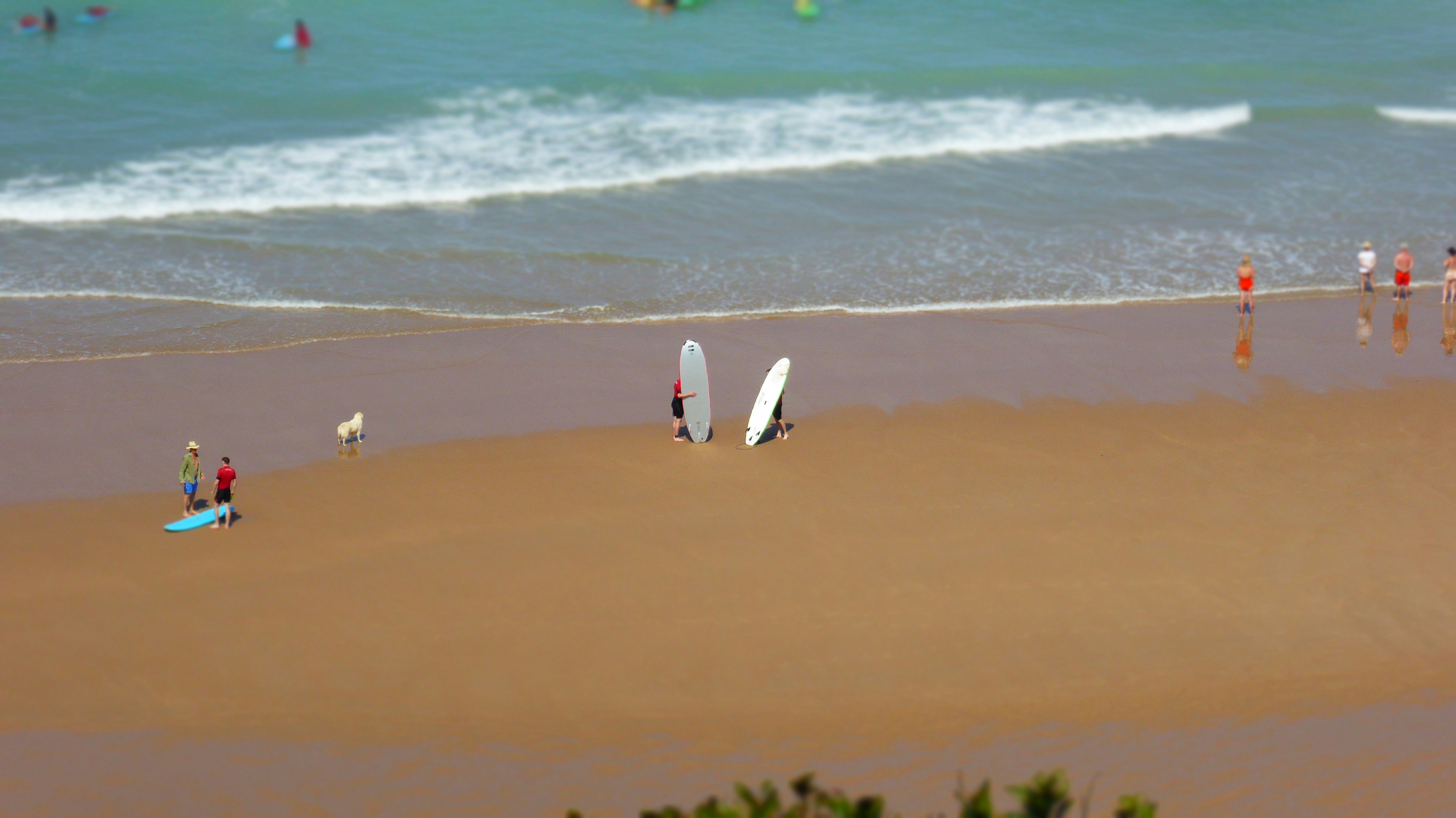 a group of people standing on top of a sandy beach