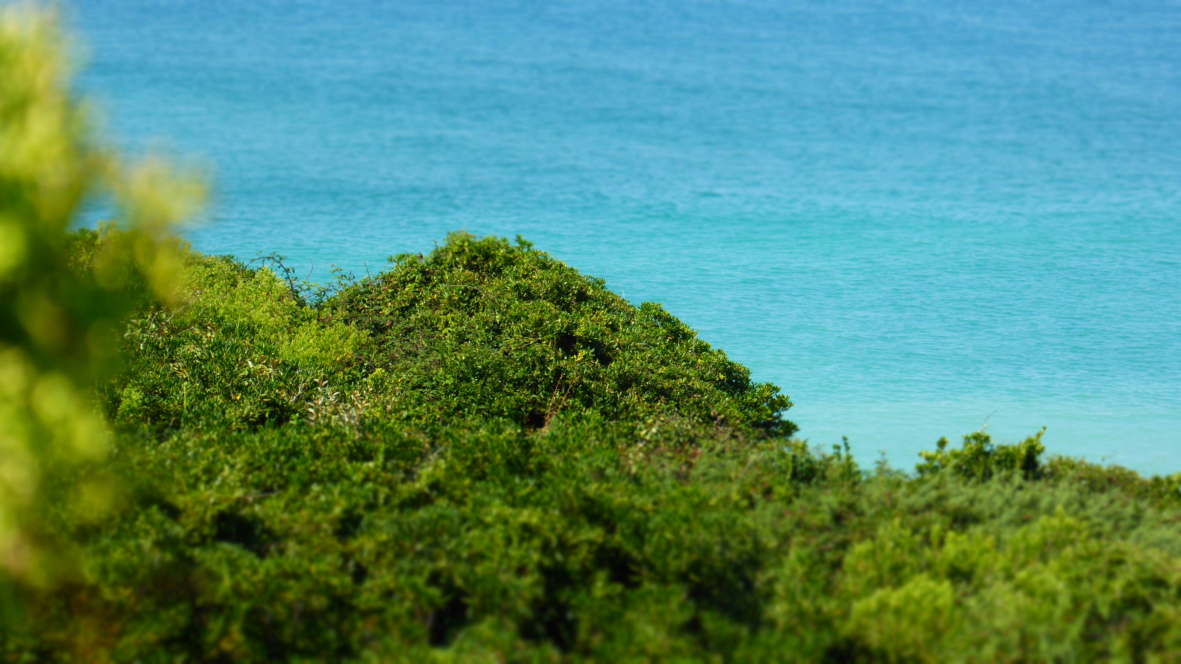 Photo by xavierfoucrier