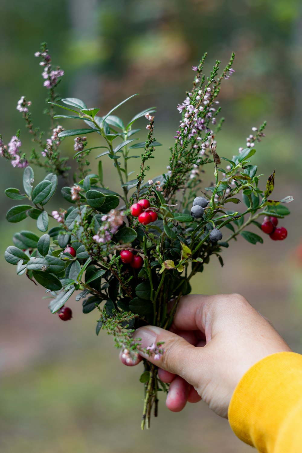 a person holding a bunch of flowers in their hand