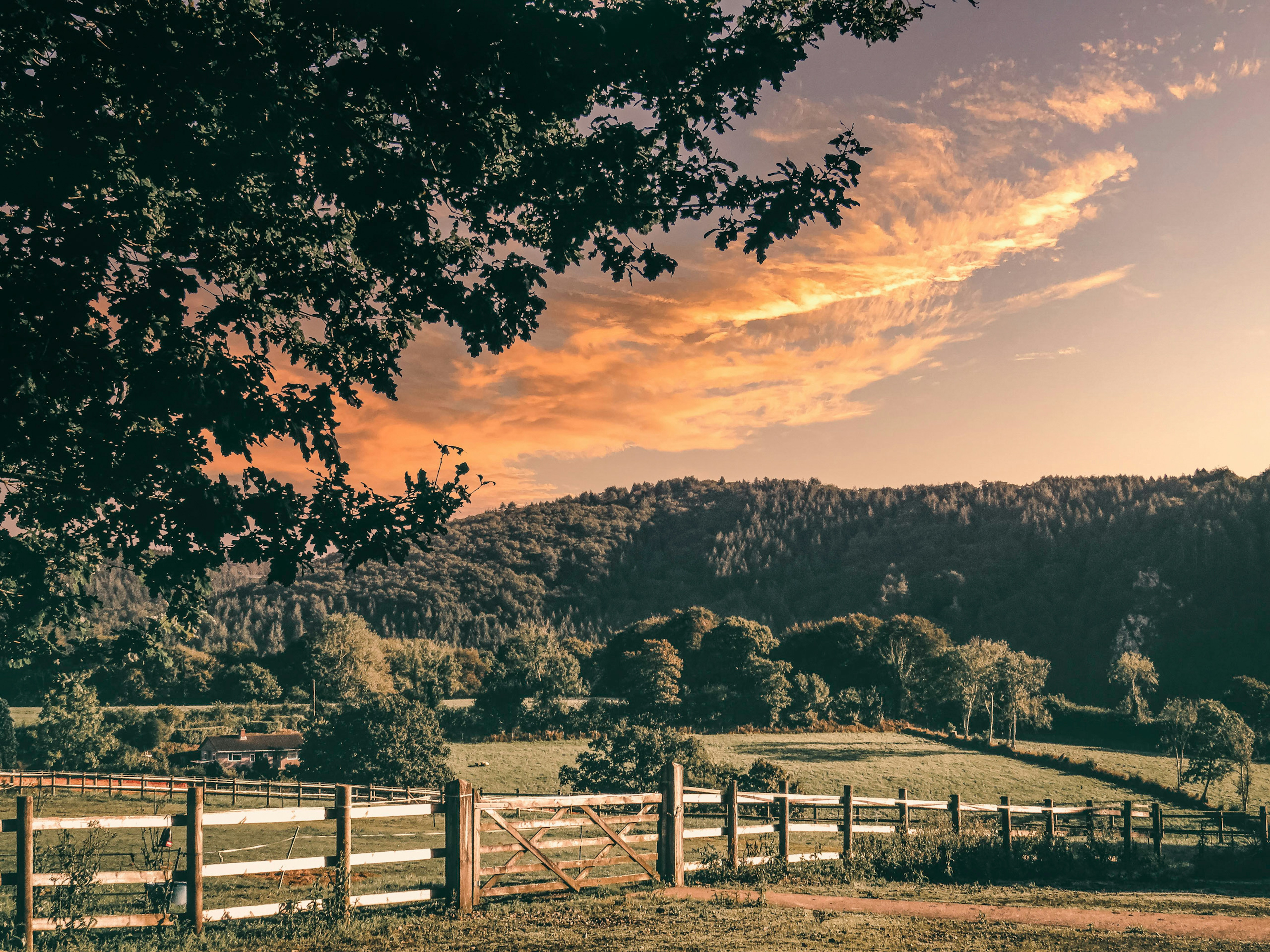 Photo by jdphoto2000