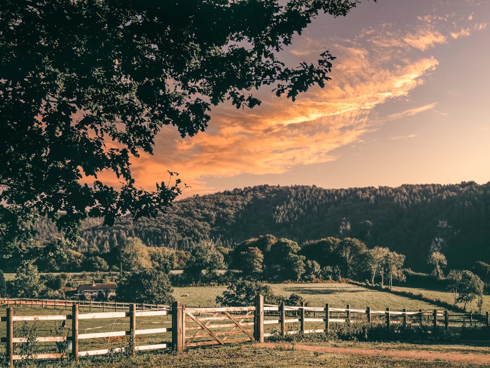 a field with a fence and a mountain in the background