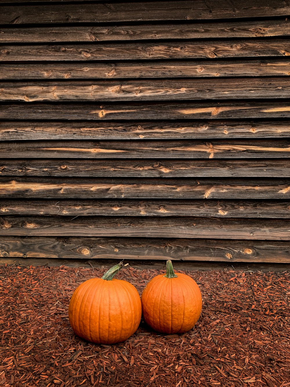 two pumpkins sitting on the ground in front of a building