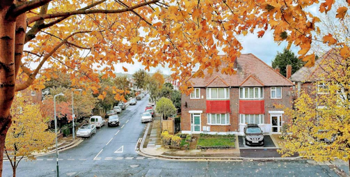 A charming tree-lined street in a Columbus neighborhood with classic brick homes and colorful autumn leaves.