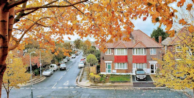 A charming lakeside neighborhood street in Bristol, NH, with colorful homes and autumn trees.