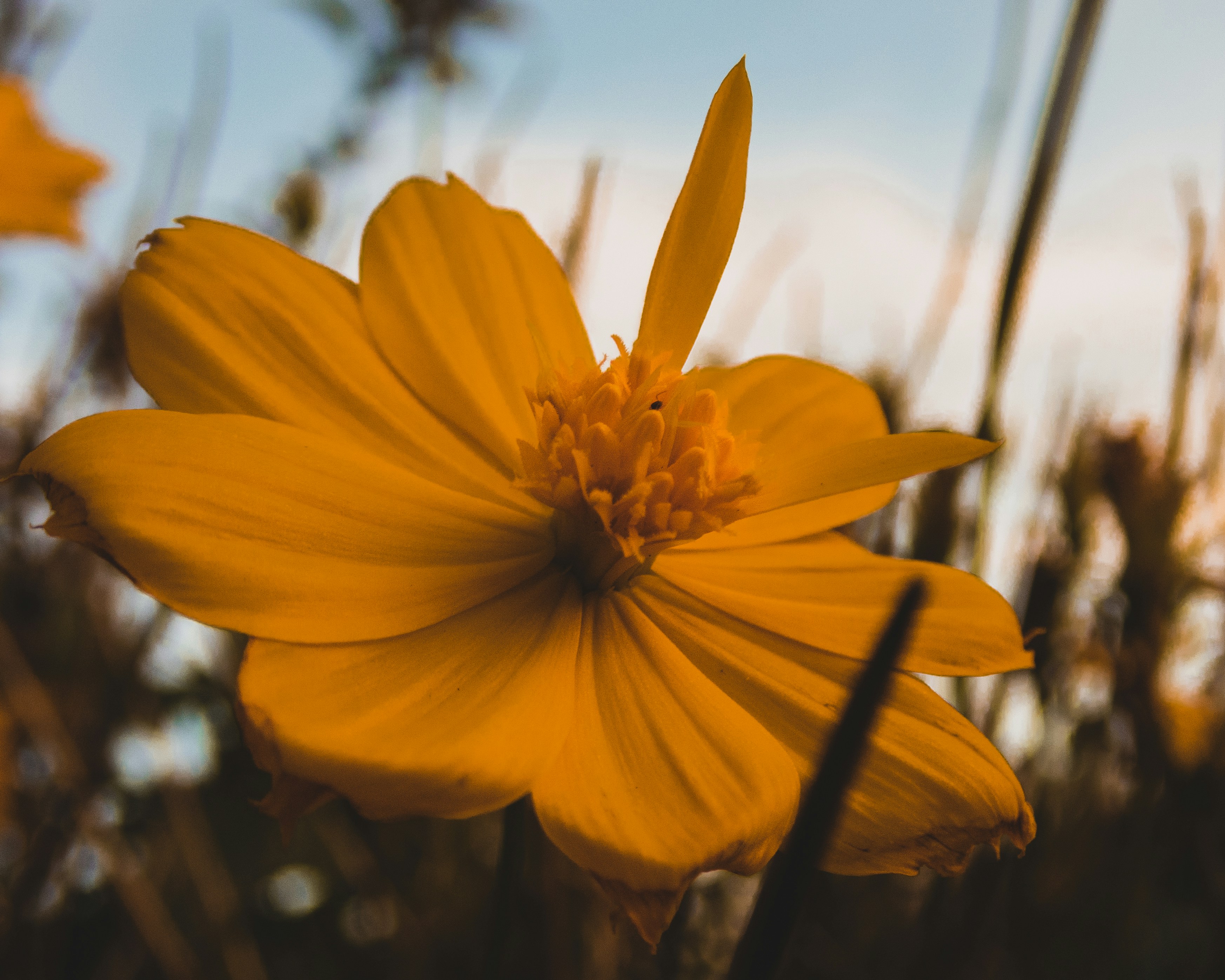 Photo by alishahlakhani