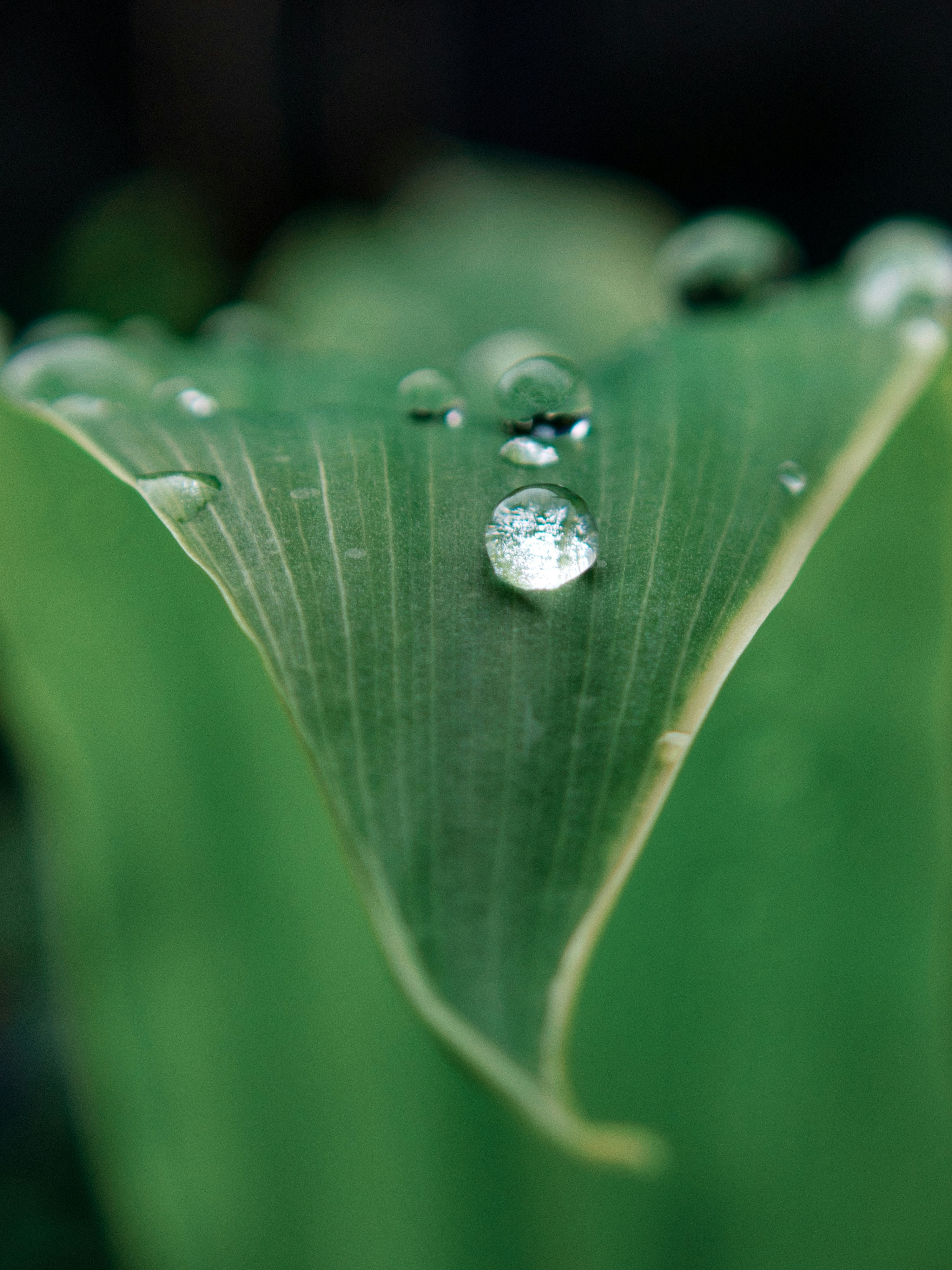 Photo by alishahlakhani