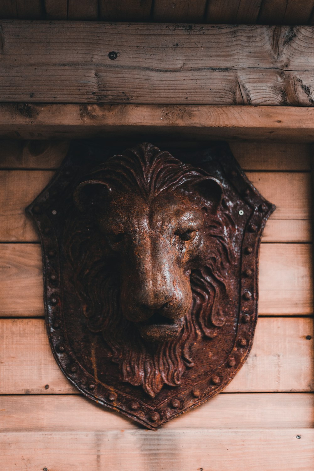 a metal lion head mounted on a wooden wall