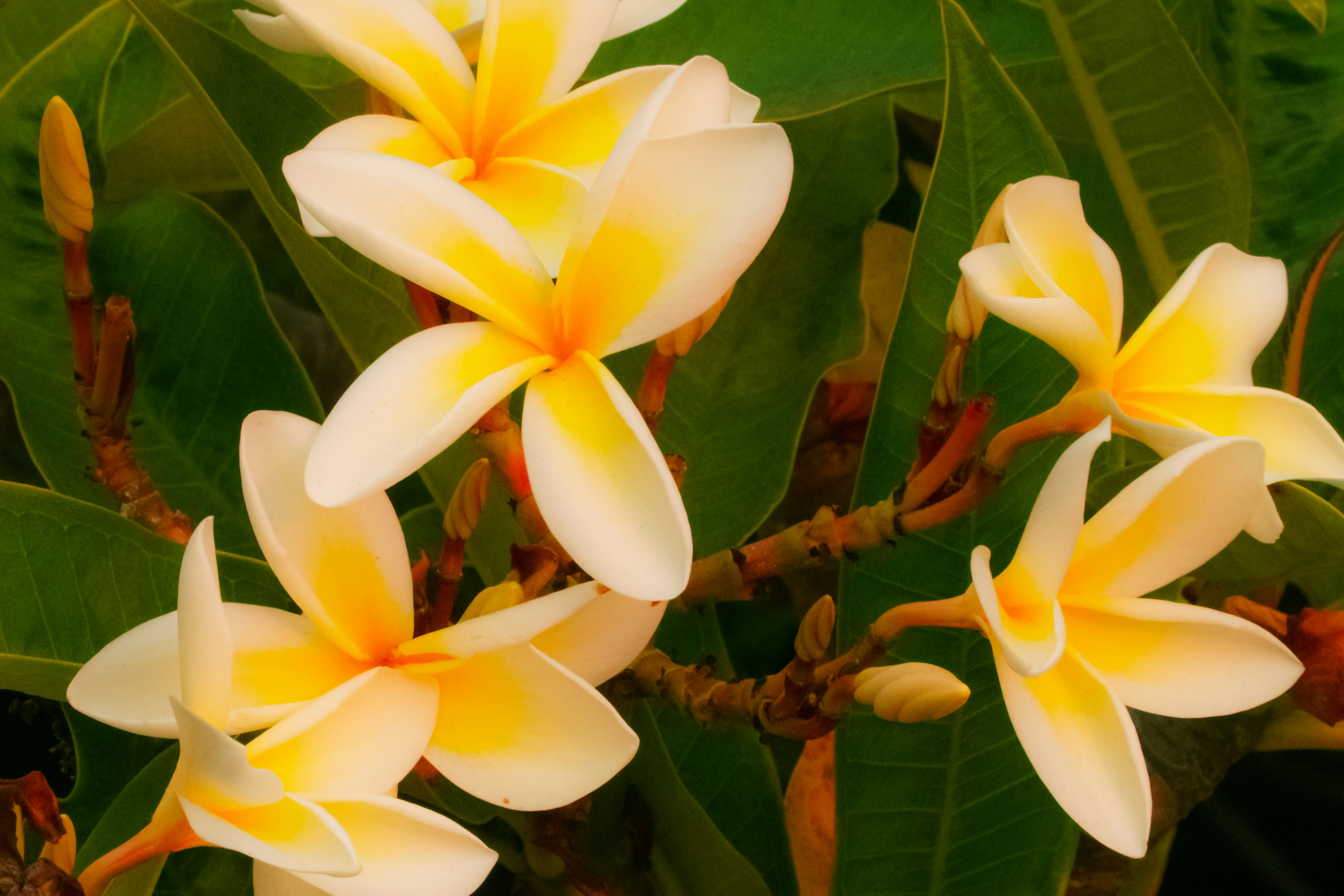 Photo by earl_plannerzone