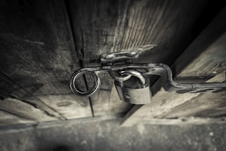 A close-up view of an old wooden door secured with a metallic lock and a vintage latch. The wood appears weathered and textured, showcasing the grain and age. The lock and latch are slightly rusted, adding to the rustic and aged appearance.
