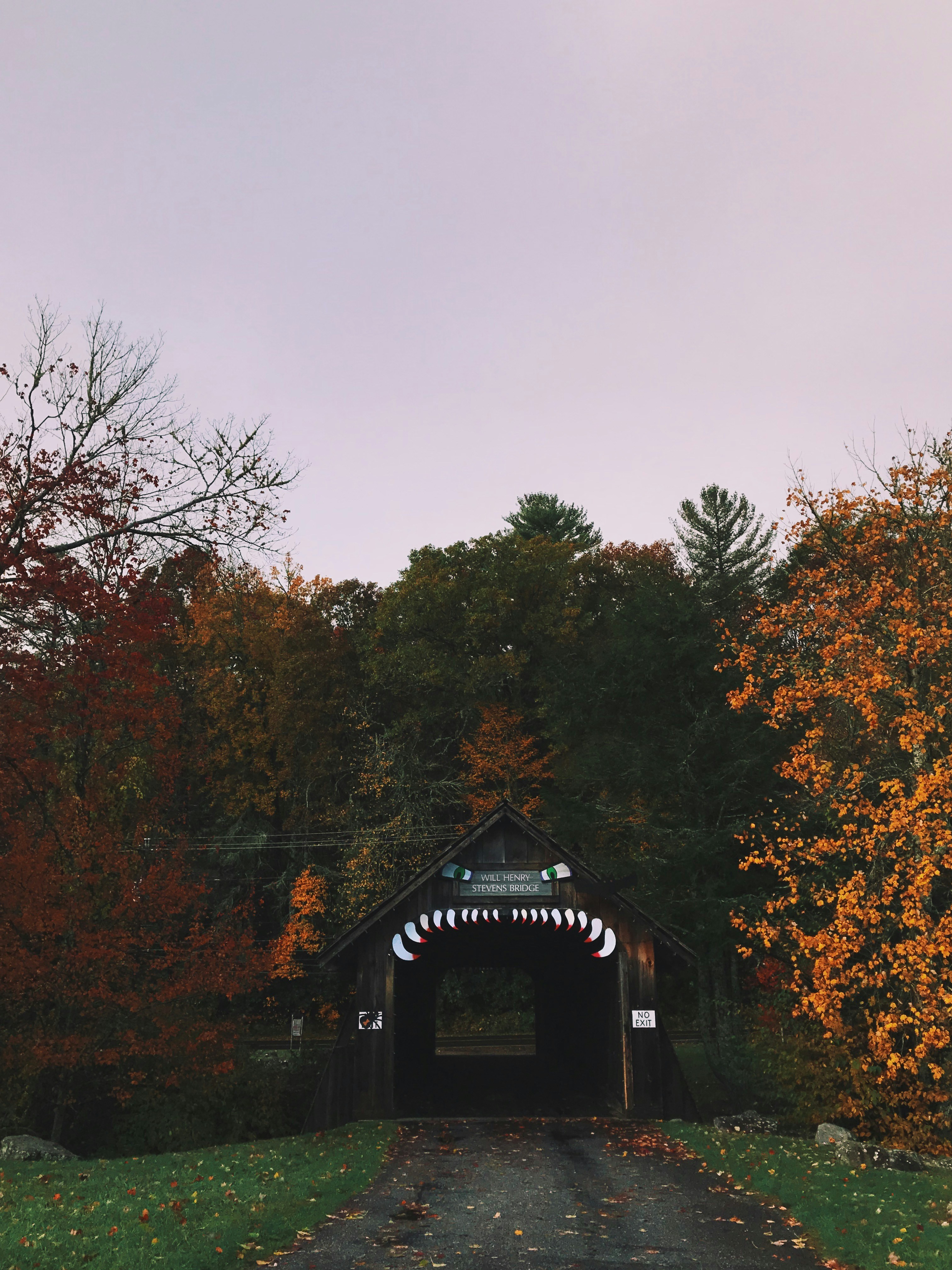 a covered bridge in the middle of a forest