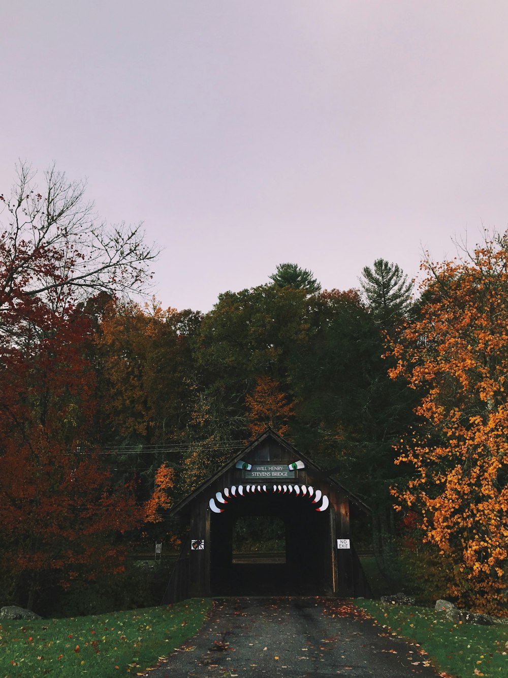 a covered bridge in the middle of a forest