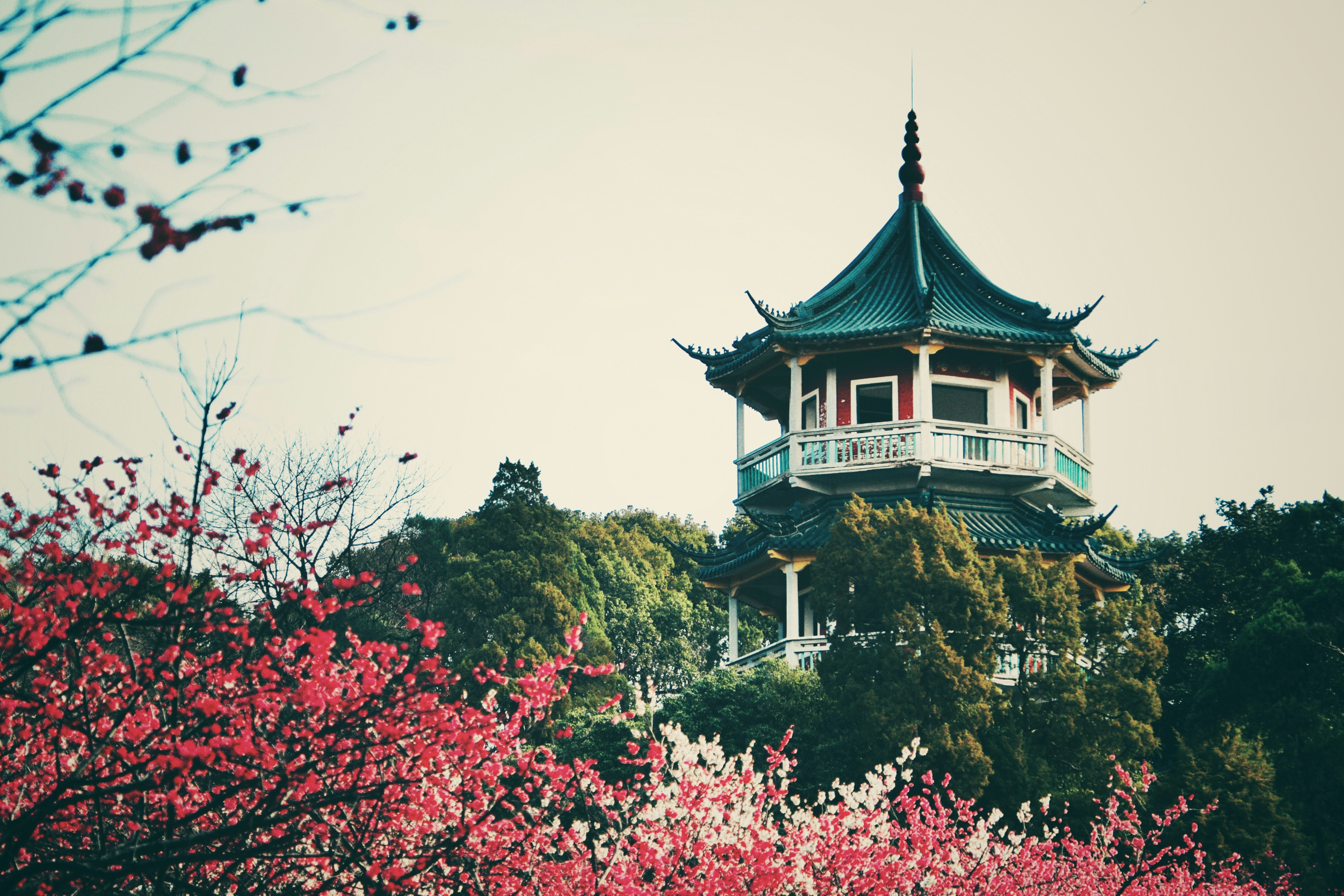 Photo by 2nd_cosmic_velocity