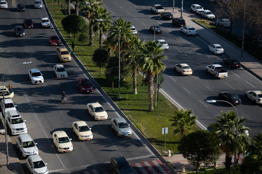 Eine Straße voller Verkehr neben Palmen