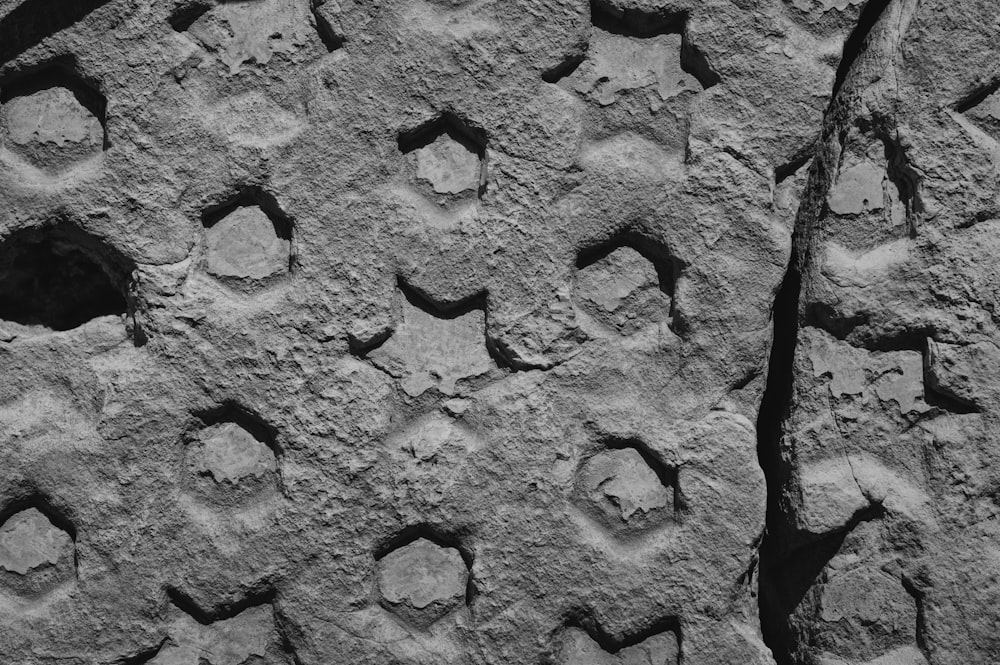 a close up of a rock with holes in it
