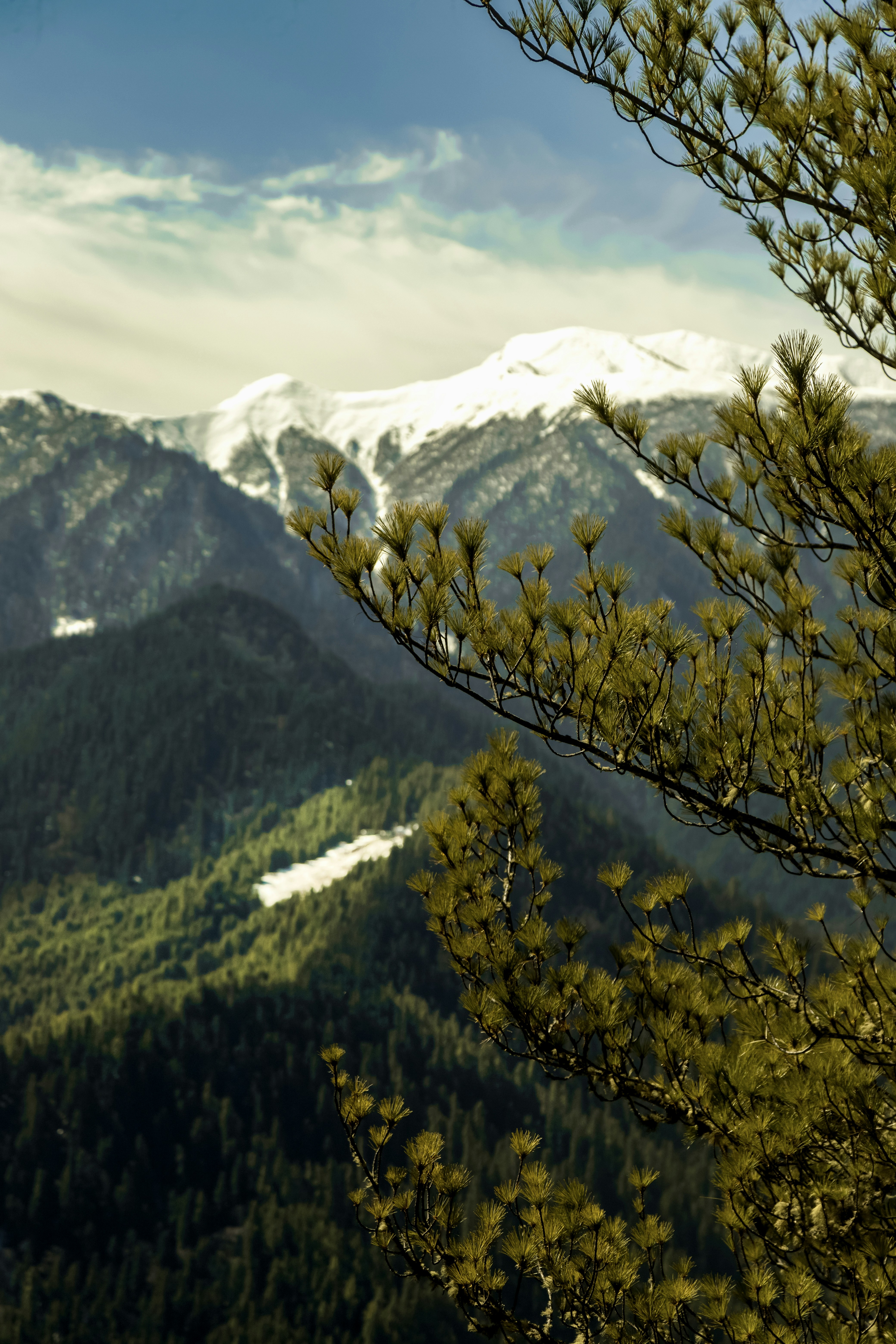 Photo by ashokjkshetri