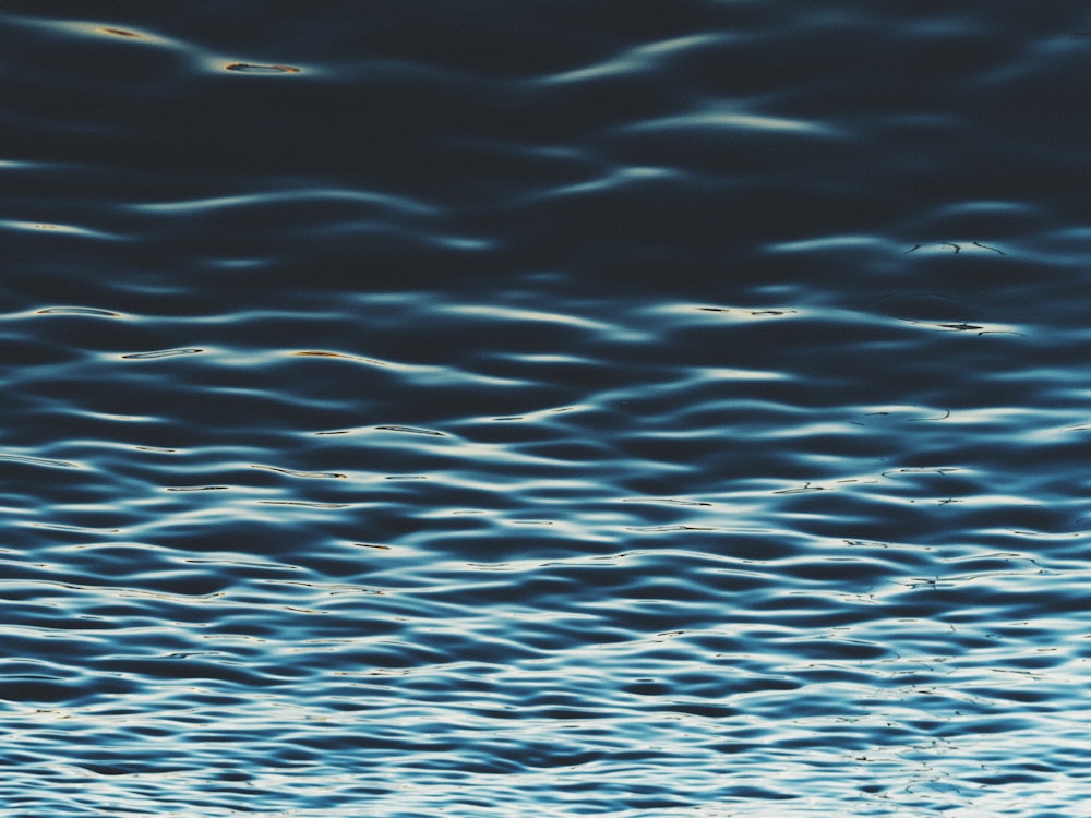 a bird flying over a body of water under a cloudy sky