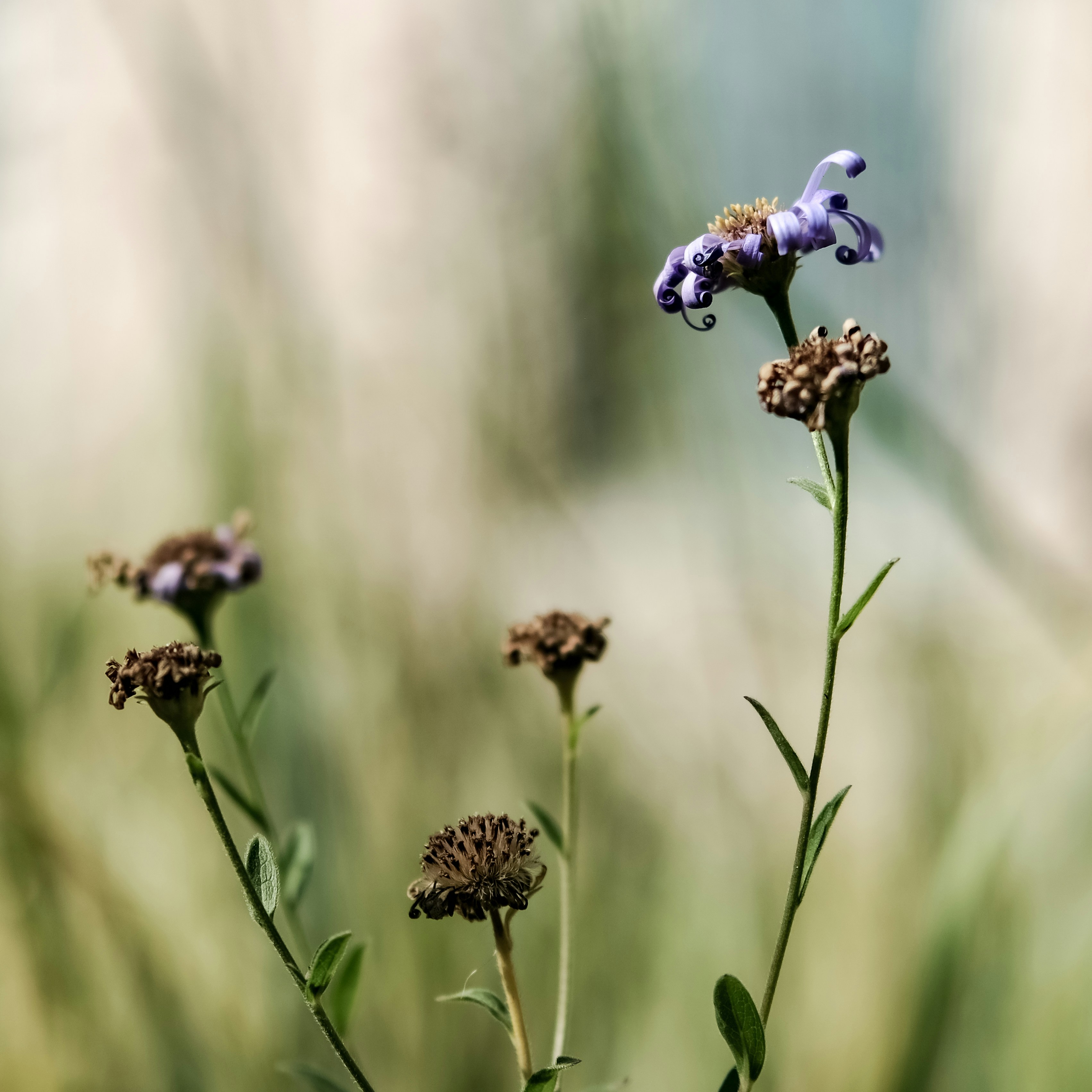 Photo by version2beta