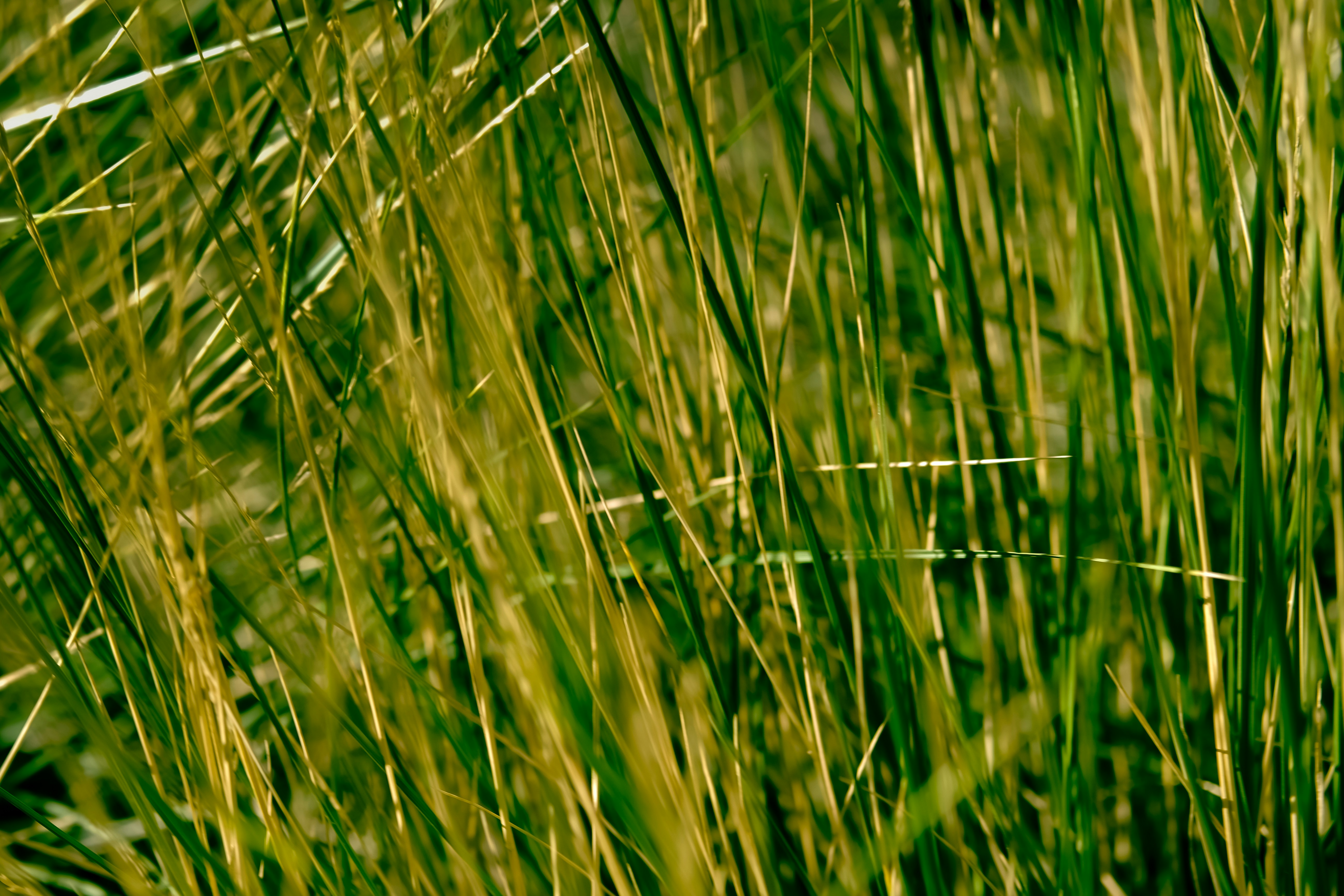 Photo by version2beta