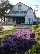 A rustic building with a gabled roof and blue trim surrounded by a well-maintained garden. The front yard features a prominent cluster of vibrant purple flowers. Trees and neatly trimmed hedges enhance the tranquil and welcoming atmosphere.