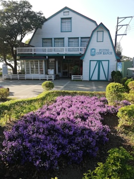A rustic building with a gabled roof and blue trim surrounded by a well-maintained garden. The front yard features a prominent cluster of vibrant purple flowers. Trees and neatly trimmed hedges enhance the tranquil and welcoming atmosphere.