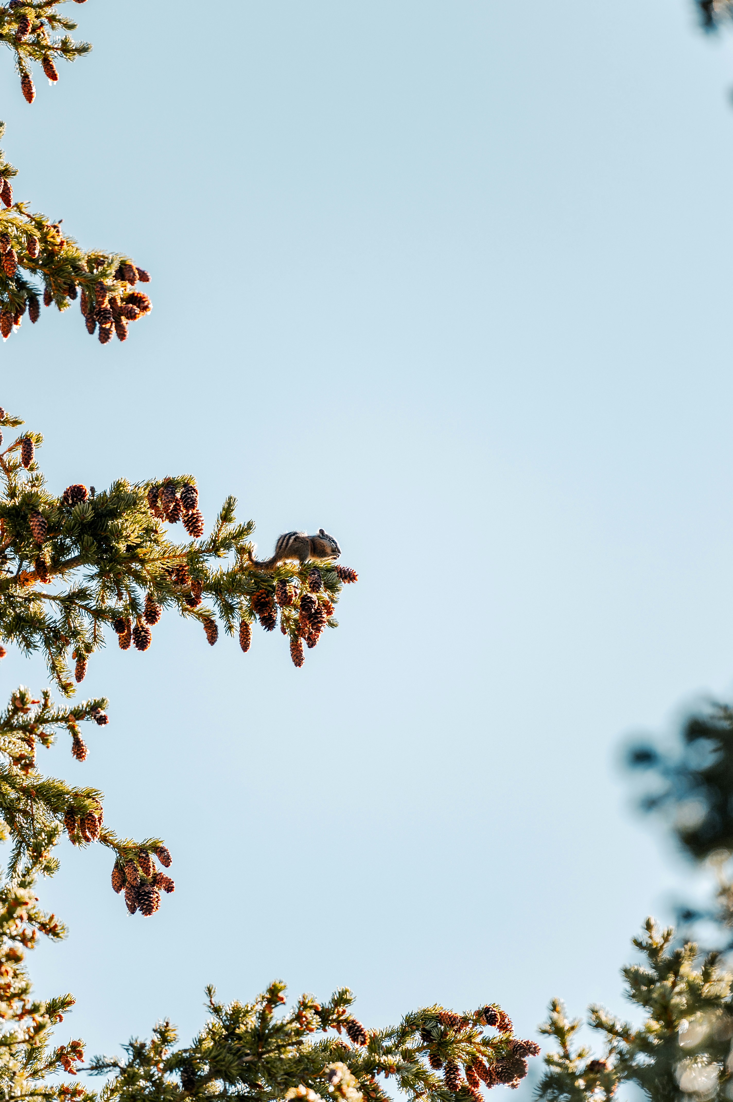 Photo by onthesearchforpineapples