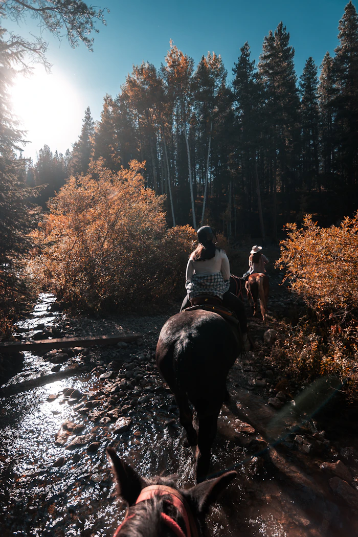 Horses crossing a mountain river on a trail ride