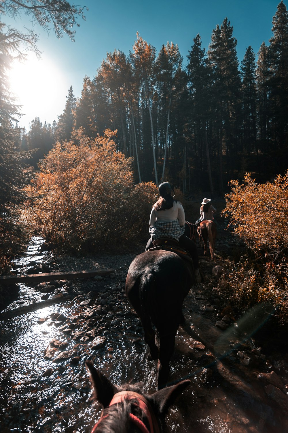 a couple of people riding horses across a river