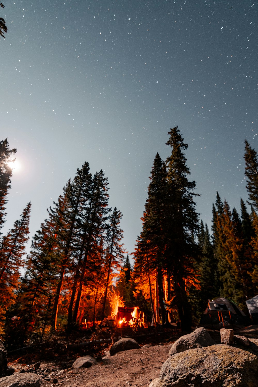 a campfire in the middle of a forest at night