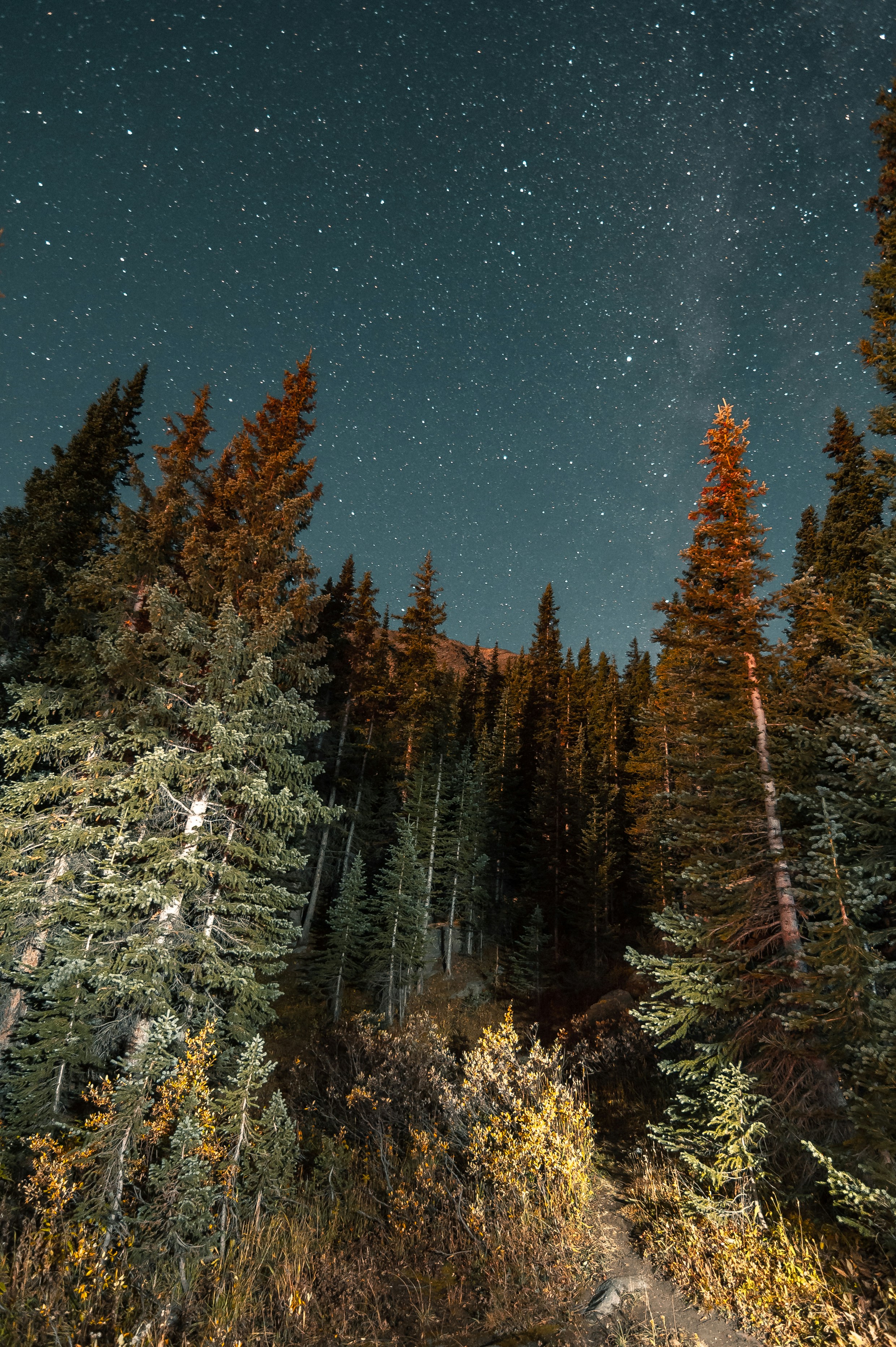 Photo by onthesearchforpineapples