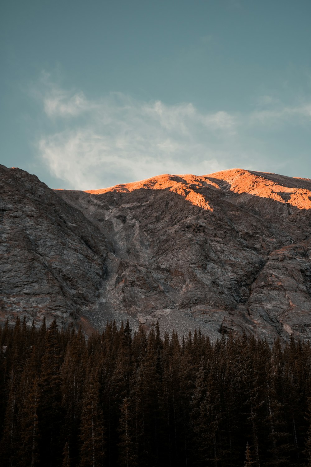 a mountain with trees and a sky in the background