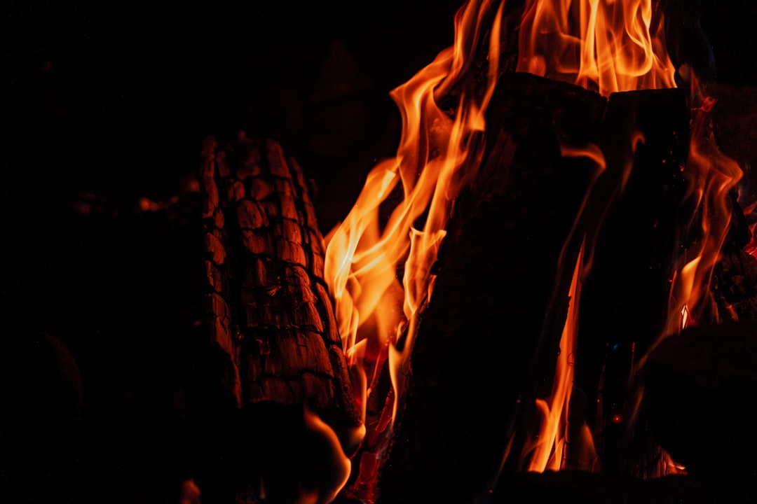 a close up of a fire in the dark