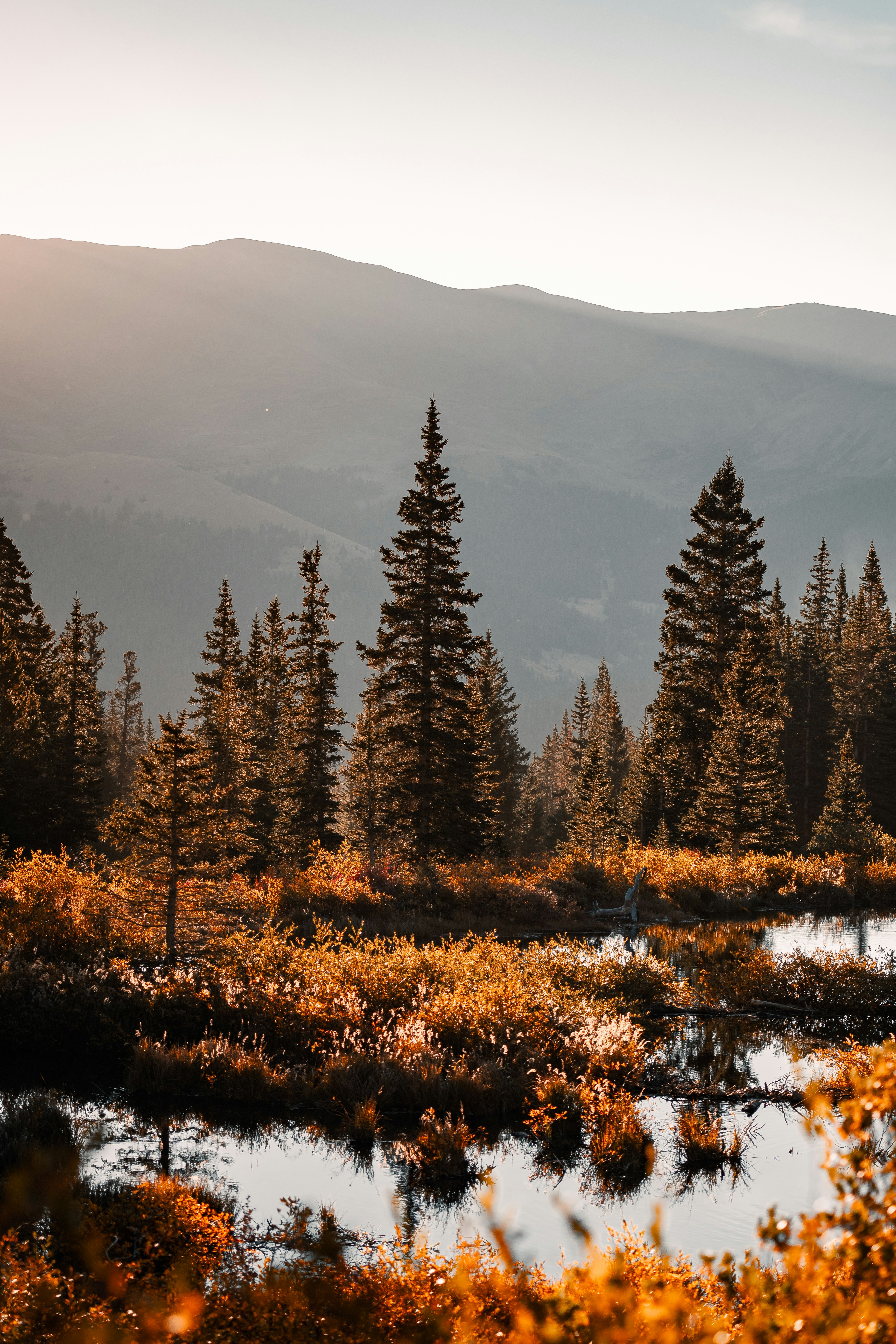 Photo by onthesearchforpineapples