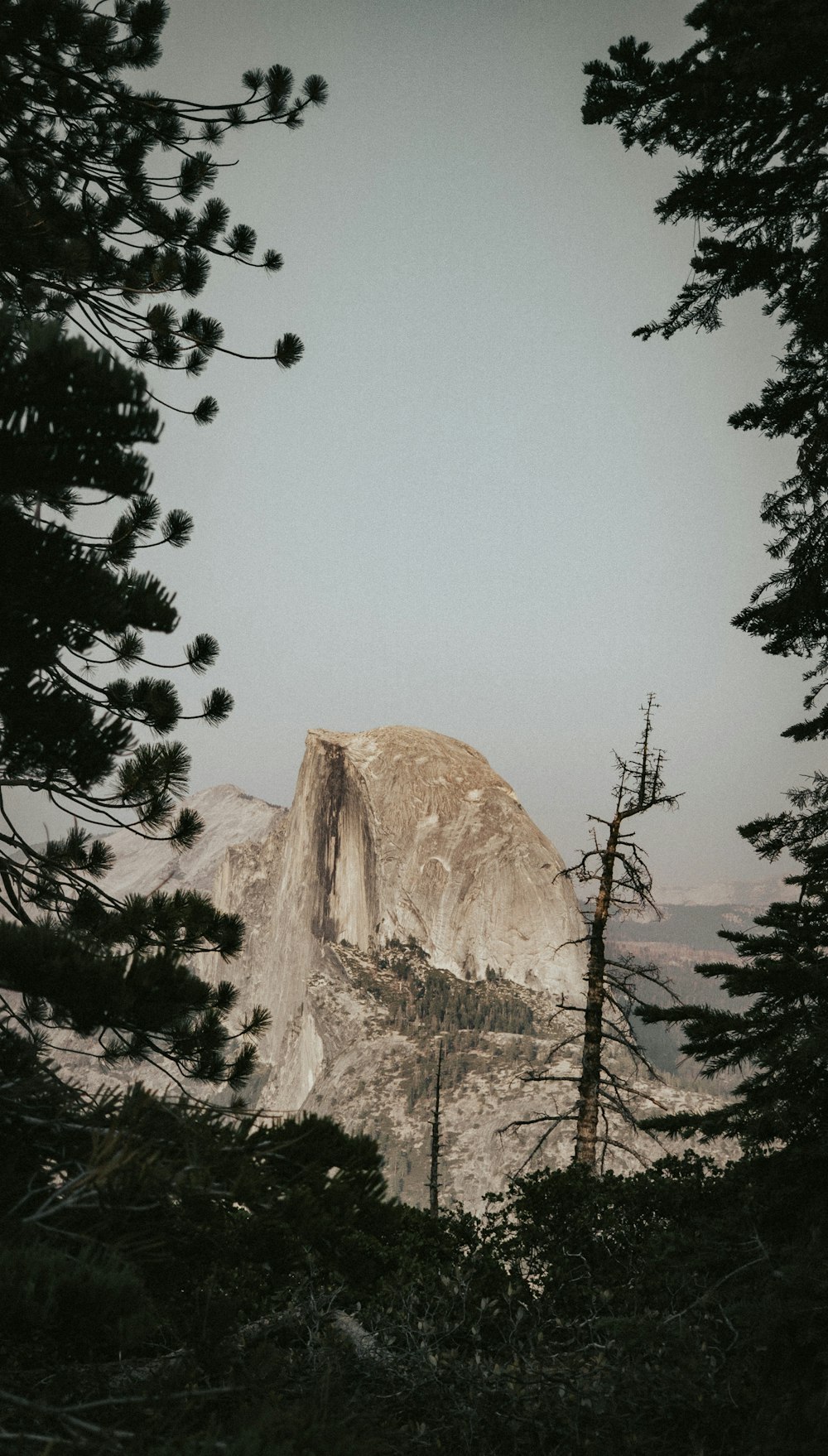 a view of a mountain through some trees