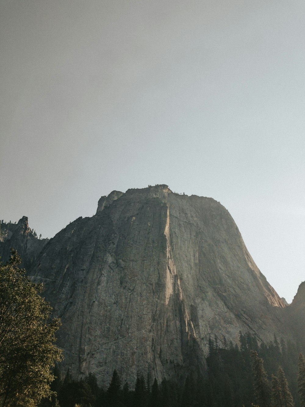 a tall mountain with a forest below it