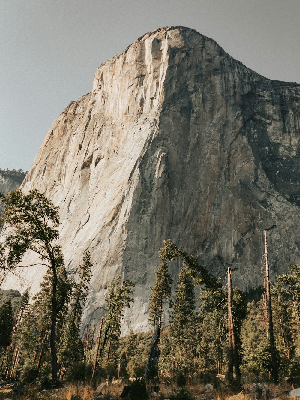 a very tall mountain with trees around it